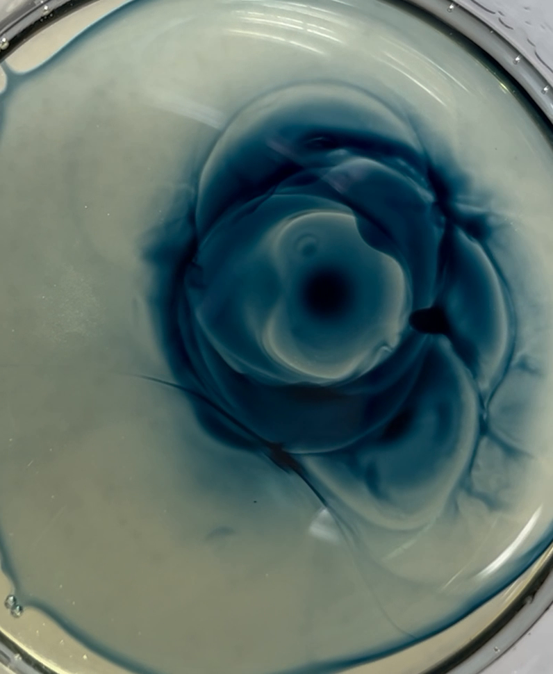 Blue botanical forms swirling through pale oil during the making of Summer Rain.